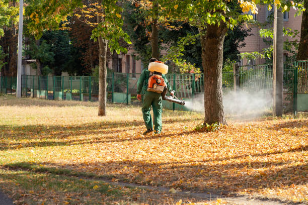 Best Emergency Pest Control  in Safety Harbor, FL