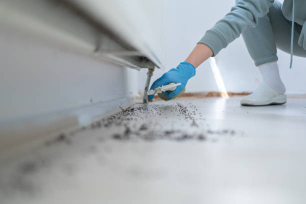 Best Affordable Pest Control Services  in Safety Harbor, FL