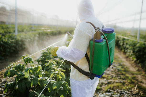 Best Commercial Pest Control Services  in Safety Harbor, FL